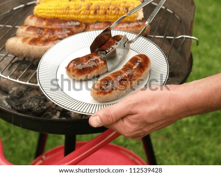 Portion of two grilled sausages, barbecue party