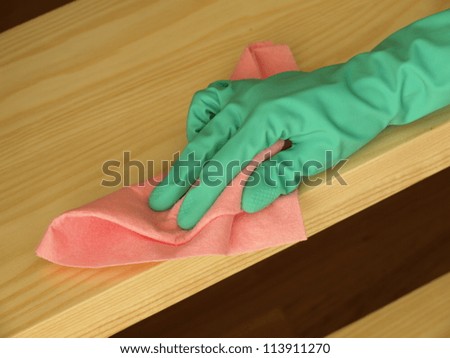 Housewife cleaning wooden stairs with soft cloth