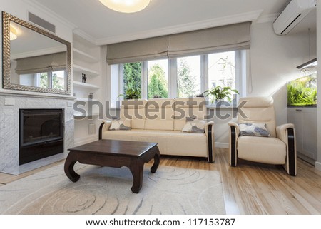 Sofa and armchair in bright living room