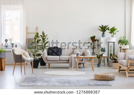 Urban jungle in bright living room interior with white couch with knot pillow and wooden furniture, copy space on empty wall