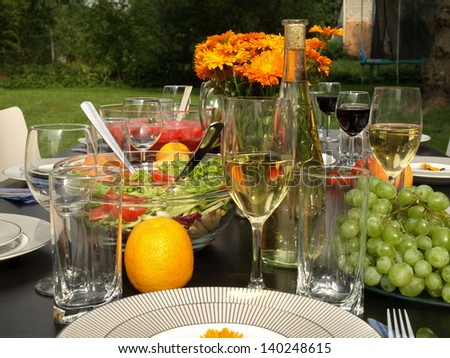 Summer garden party table with wine, food and grapes.