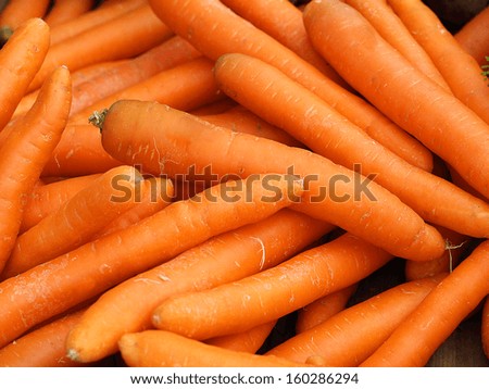 Close up of orange carrot pile presenting fresh vegetables