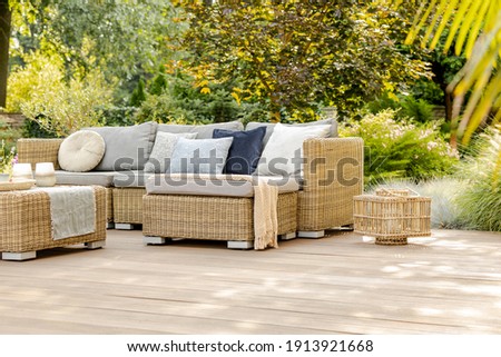 Green trees and wicker garden furniture in the backyard