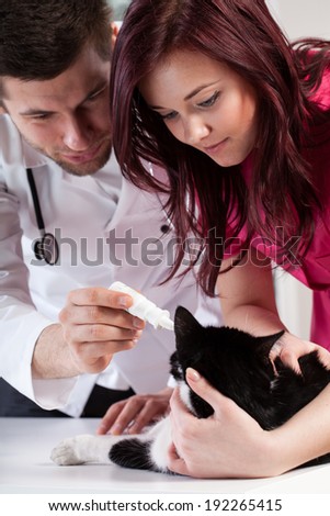 Vets treating a cat\'s ear infection, vertical