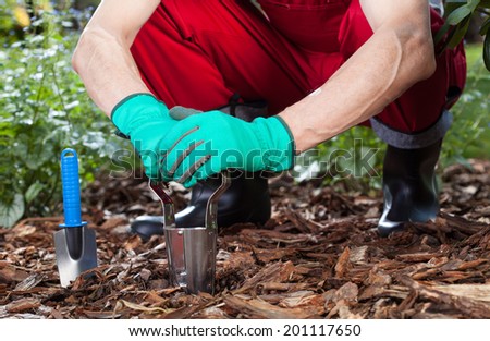 Man with gloves  uses tools to work in the garden