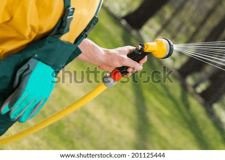 Close-up of a male hand with a hose watering grass