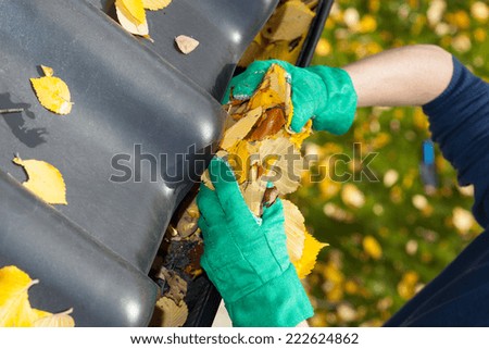 Leaves in a rain gutter during autumn