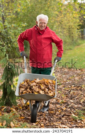 Senior man cleaning garden from leaves during autumn time