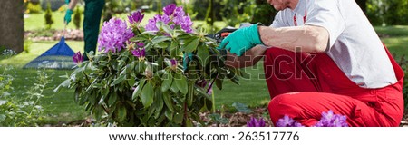 Mature couple in overalls work in the garden