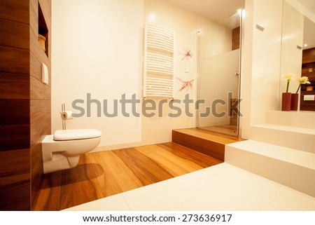 Picture of new up-to-date bathroom in big luxury house