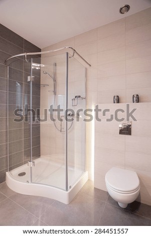 Glass shower and porcelain toilet in new bathroom