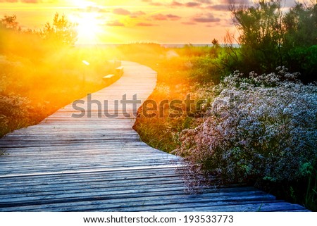 Wooden path over dunes at a beach