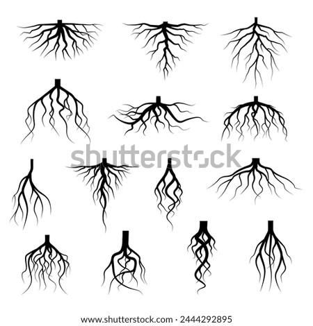 Tree root icon set. Tree root silhouette set.