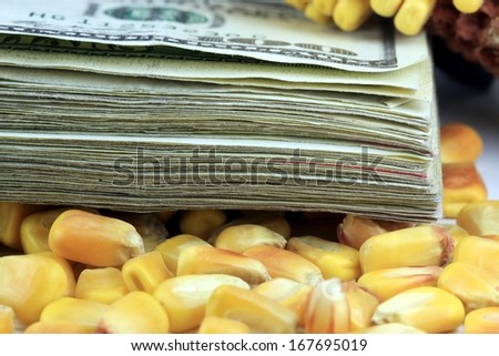 Commodity Trading Concept - Stack of US Currency with Yellow Corn
