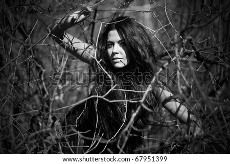 Fashion brunette in a black dress in the branches. Black white photo