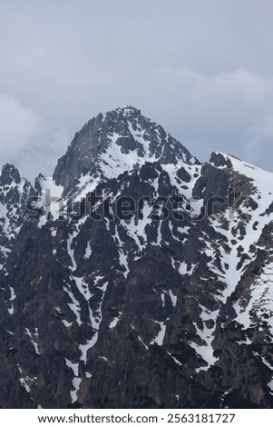 Similar – Image, Stock Photo Remnants of snow on path