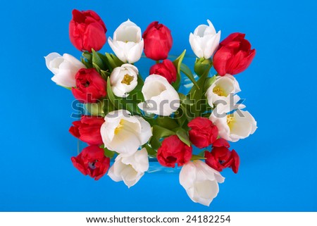 Top view Vase of Tulips