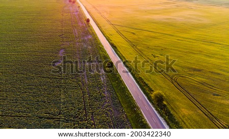 Similar – Image, Stock Photo Path between two corn fields in the evening sun