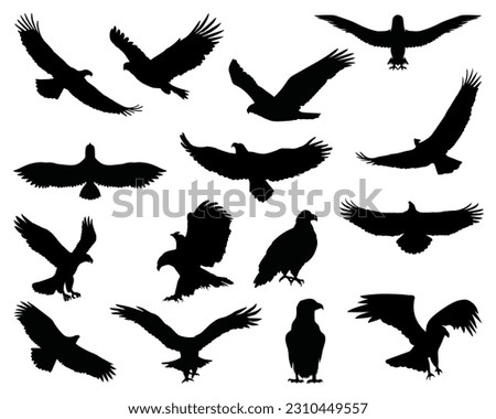 Set of Eagles Silhouette, Flying Bird