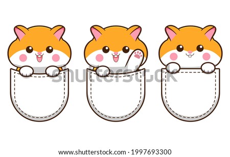 cute hamster in the pocket vector design