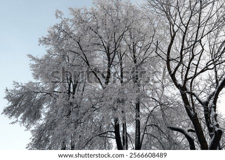 Similar – hoarfrost against the light