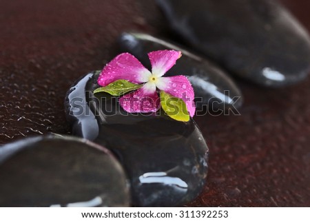 candle on a background of black, stone, with purple, flowers, spa, salon, wet, beautiful, pink, natural, fresh, clean, easy, pleasant, warm, fire, wood background, water, drops, flowers