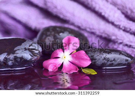 Flower and stones on a background of purple towels spa salon