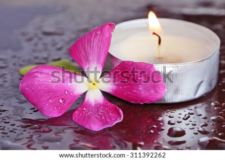 candle on a background with purple, flowers, spa, salon, wet, beautiful, pink, natural, fresh, clean, easy, pleasant, warm, fire, wood background, water, drops, flowers