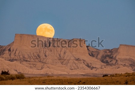 Similar – Image, Stock Photo Male traveler in Bardenas Reales in summer