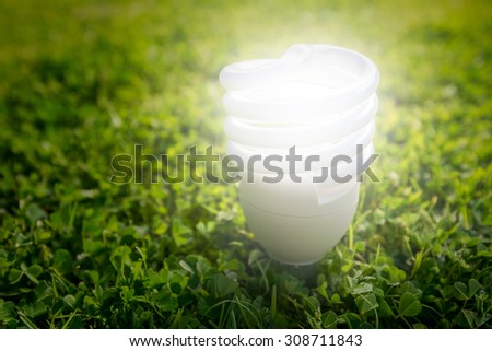 Energy saving light bulb on the grass