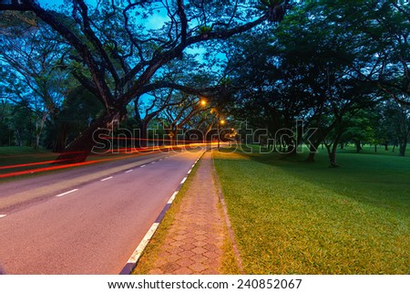 A road with light trails of cars moving towards to forest during blue hour
