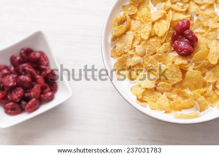 Bowl of milk with corn flakes seasoned with cranberries.  Shot with artificial light.