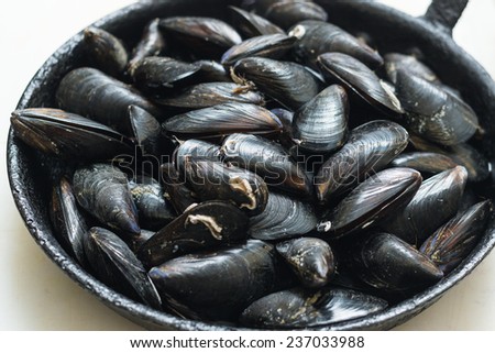 Mussels in shell in a frying pan