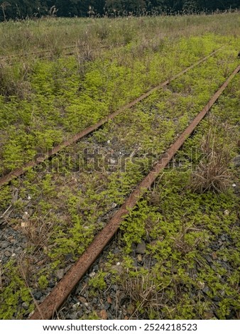 Similar – Image, Stock Photo Railway to the sugar loaf