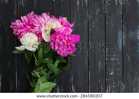Many beautiful colored peonies on black vintage wooden background