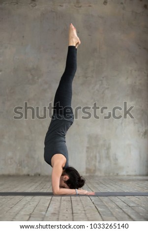 Similar – Image, Stock Photo Portrait of peacock doing cartwheel