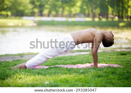 Profile of Indian young man with tattoo in white linen clothes practicing yoga, fitness, pilates on riverbank in park, doing Upward Plank Pose, Purvottanasana, full length