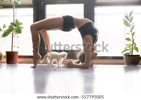 Similar – Foto Bild urdhva dhanurasana.foto des Mädchens beim Yoga am Pool in einem Ferienort