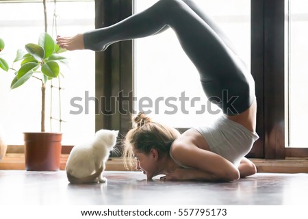 Similar – Image, Stock Photo Flexible female dancer doing splits in studio