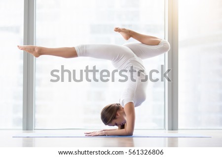 Similar – Image, Stock Photo Portrait of peacock doing cartwheel