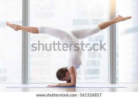 Similar – Image, Stock Photo Portrait of peacock doing cartwheel