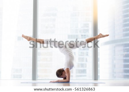 Similar – Image, Stock Photo Portrait of peacock doing cartwheel