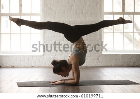 Similar – Image, Stock Photo Portrait of peacock doing cartwheel