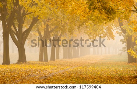 Similar – Foto Bild Morgennebel Herbst Straße