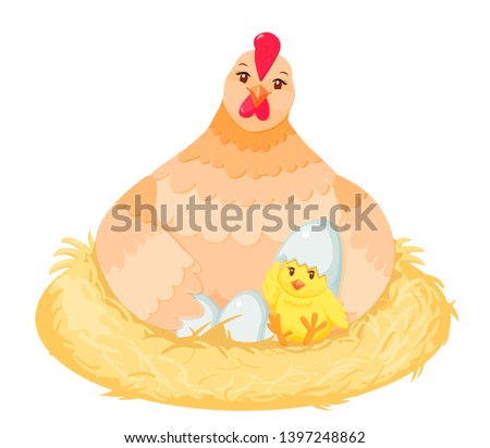 Cute cartoon chicken in the nest hatching eggs and first hatched chick