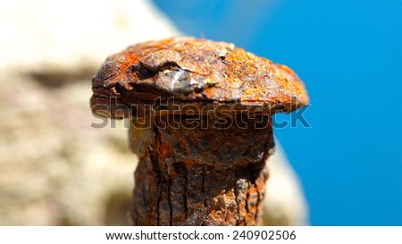 Rusty nail head closeup