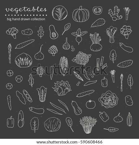 Leafy Vegetables Outline Images - Vegetarian Foody's