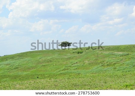 Distant Tree on the Hill