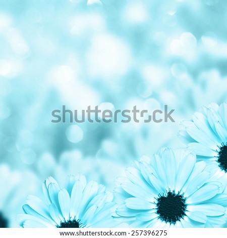 Scenic floral border beautiful blurred blue background, flowers