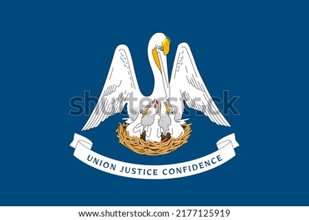 Flag of Louisiana, symbol of USA federal state. Louisianan full frame federal flag with pelican bird on dark blue field, symbol of nature and history of Louisiana vector illustration